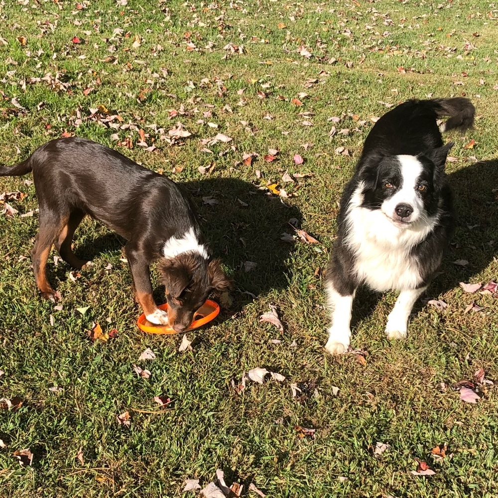 Meet your Posher, Michelle